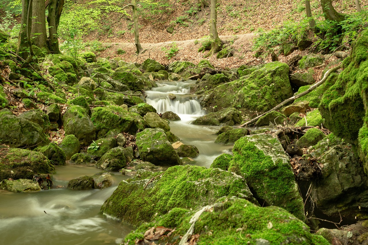 nature, stream, rocks-4216505.jpg
